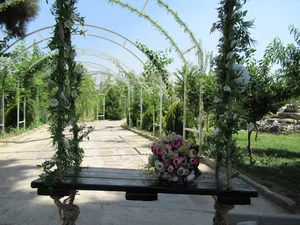 باغ عکاسی حلما