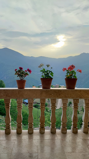 محمدرییس