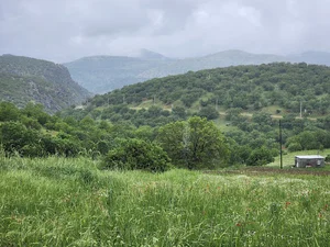 جاده روانسر پاوه