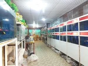 آکواریوم برکه
