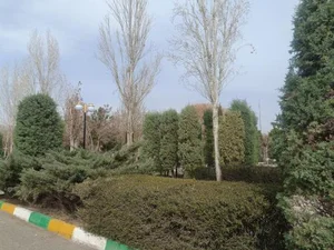 پارک بسیج 3
