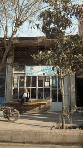 تاکسی تلفنی المپیک 2