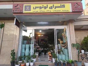 گلسرای لوتوس