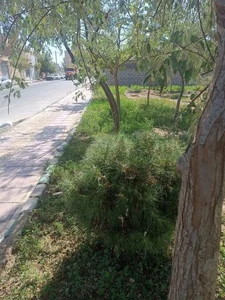 پارک شهرکی 4