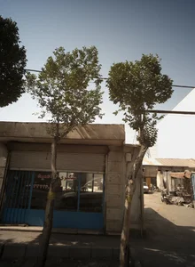 سنگبری امید 2