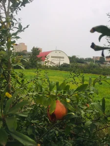 سالن ورزشی ابراهیمی