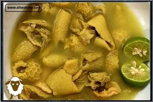 خواص و فواید سیرابی و شیردان چیست