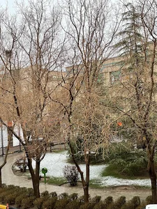 فضای سبز
