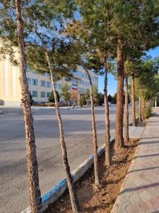 ساختمان دکتر سلطانی