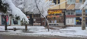 فروشگاه سوغات ایرانی
