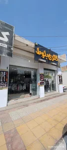 گالری بلوط