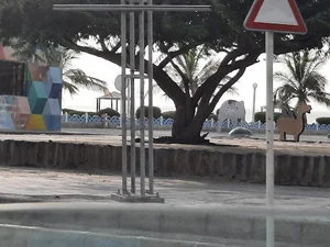 شهر بازی