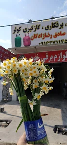 تنظیم موتور و برق کاری استاد صادق