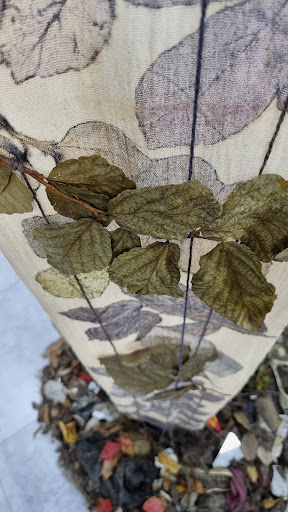 گالری آبی بلند