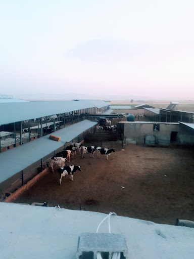 مجتمع دامپروری خلیلی