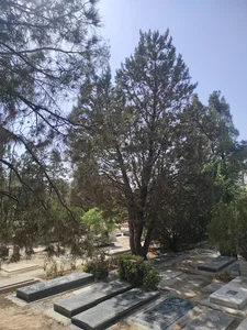 قطعه ۱۰۴