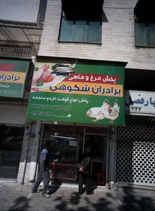 پخش مرغ و ماهی برادران شکوهی 2