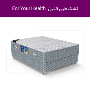 نمایندگی داتیس (شعبه اصلی)