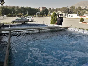 شركت البرز كاسپين