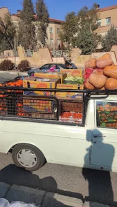 میوه فروشی سید