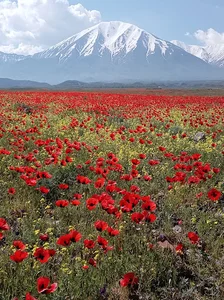 قره یازی gara yazi