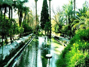 Golshan Town