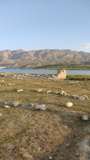 جنگل خانیکان