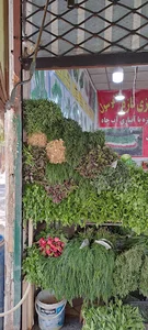 سبزی و صیفی جات حاج رسول