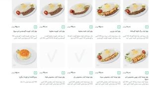 تهیه غذا درخشان 4