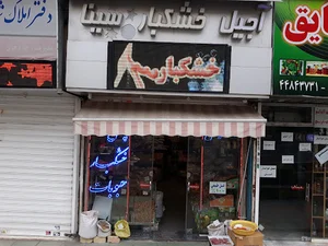 اجیل خشکبار سینا