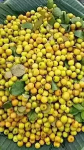 خطاط ورسام الفخامة
