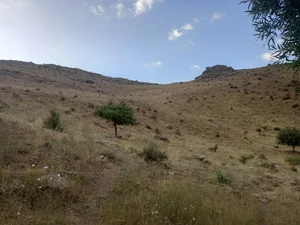 منطقه فسیلی