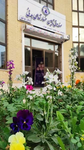 صندوق تأمین خسارت های بدنی شعبهٔ استان بوشهر