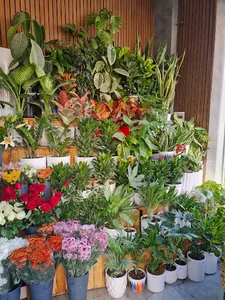 گلسرای مادر