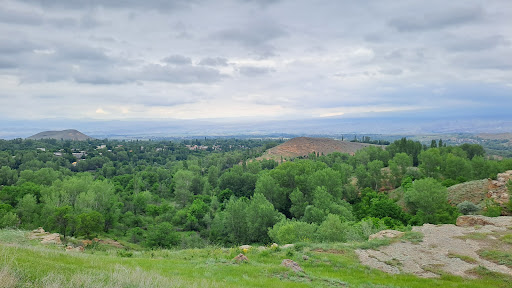 روستای انار
