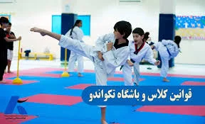 آموزش تکواندو حرفه ای و آزاد حبیبی