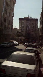 پروتئین پالیزی 4