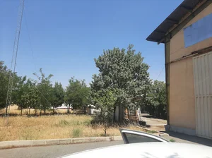 مرکز غیر بهداشتی سید جمال الدین