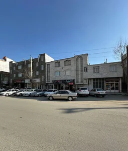 مرغ بریانی دلی بال،مزکده دلی بال