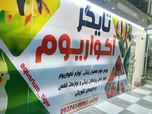 آکواریوم تایگر 3