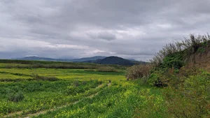 نگین شهر