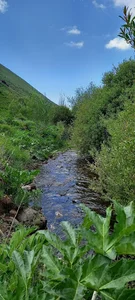 آبگرم شور سو شهرستان مهربان