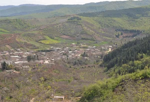 لوازم خرده ریز آشپزخانه ارغوان