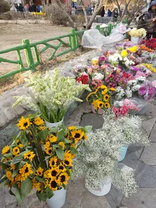 گلفروشی ولی