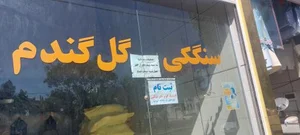 نانوایی سنگکی گل گندم