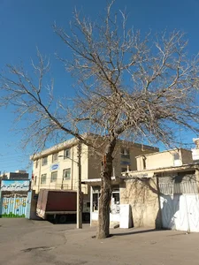 مدرسه دکتر مافی