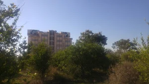 دانشگاه آزاد اسلامی واحد دلوار