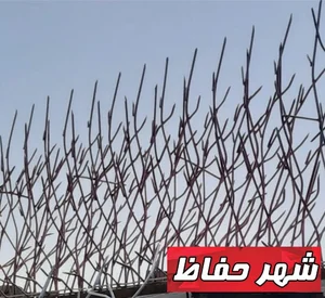 شهر حفاظ