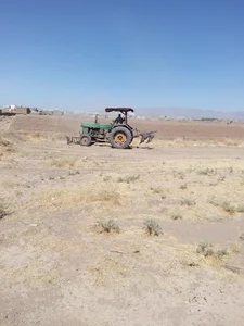 دامداری رئوف