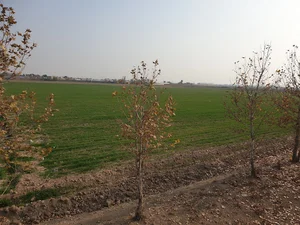 امام زاده ابراهیم و دو بی بی